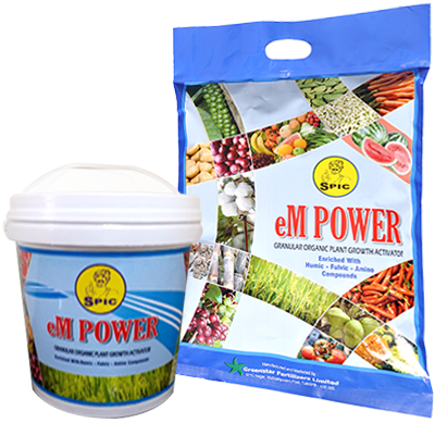 > </div>
<div class=